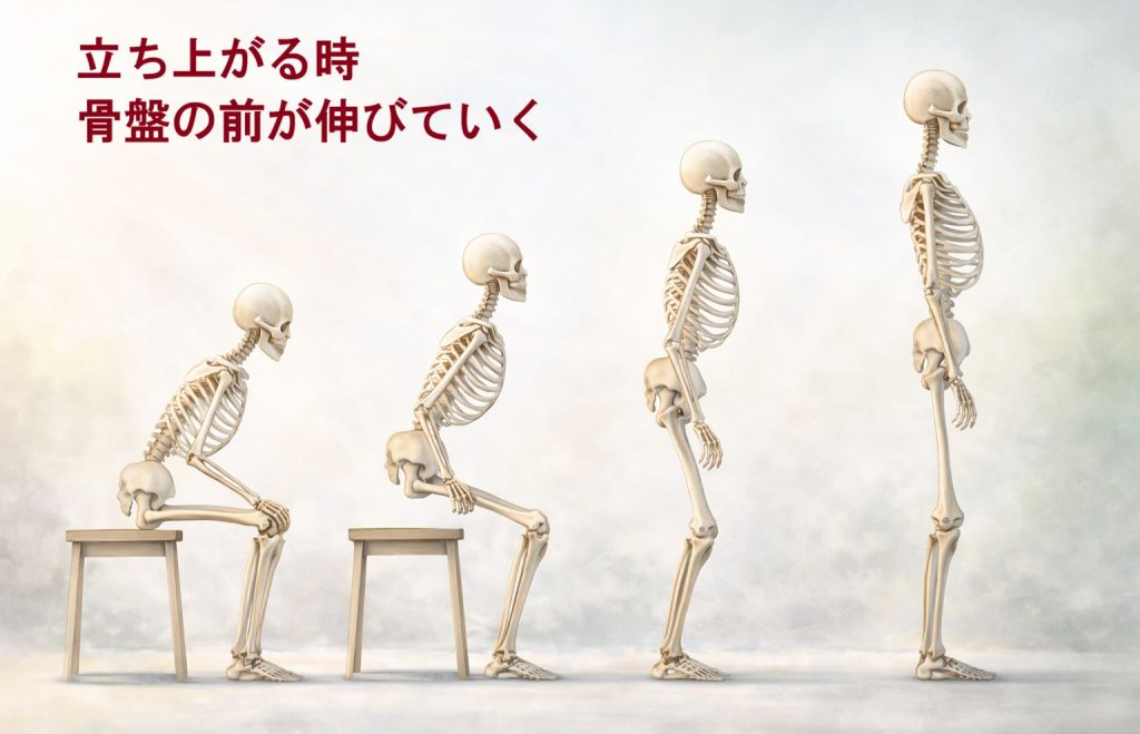 椅子から立ち上がる動作