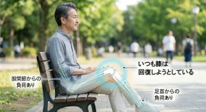 膝にも回復の流れがあるイメージ