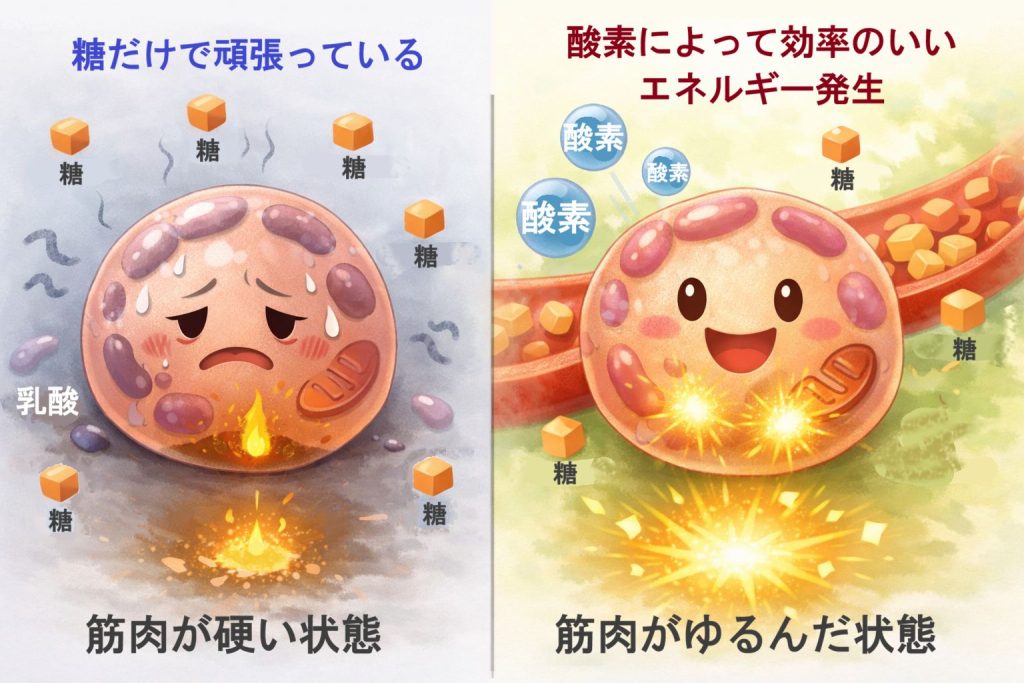糖だけのエネルギーと酸素と協働してエネルギー発生の違いのイメージ