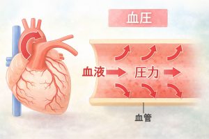 血圧とは、心臓が血液を送り出すときに、血管の内側にかかる圧力のこと