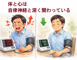 血圧と自律神経は深く関わっているイメージ