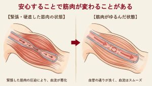 安心して筋肉の緊張がゆるむイメージ