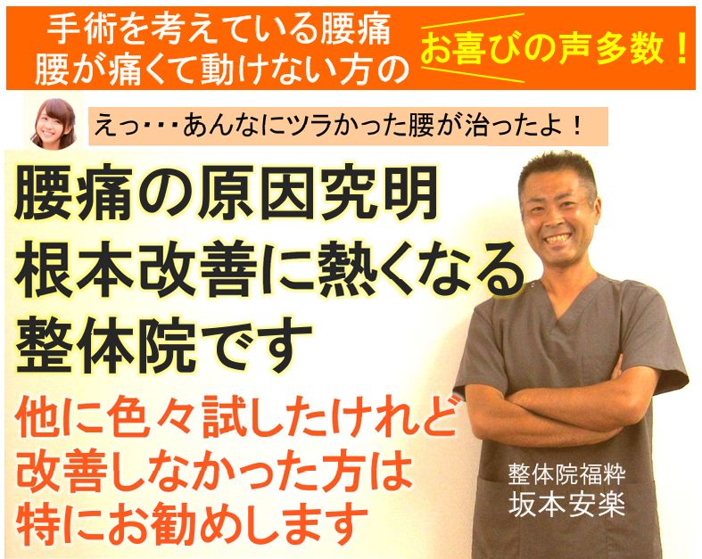 太田市の整体院福粋が腰痛の根本改善をお勧めします