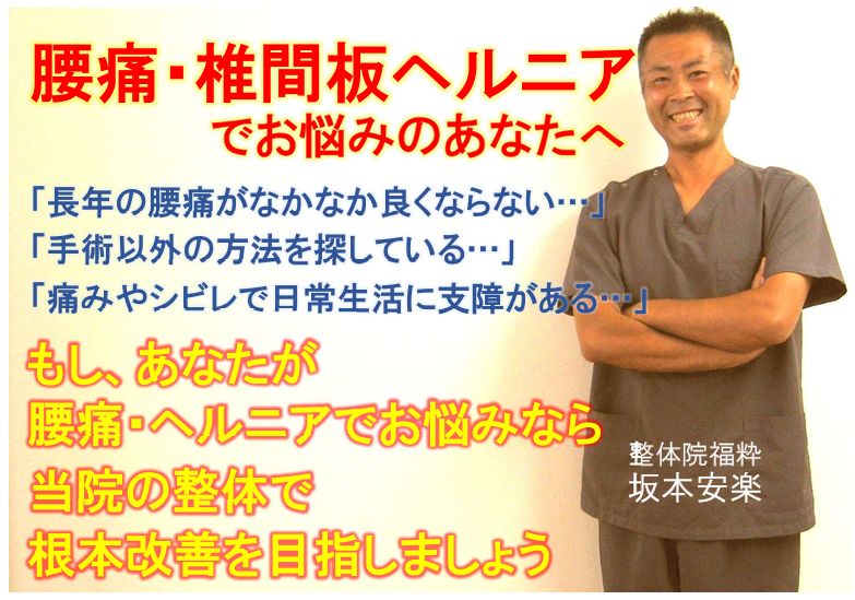 腰痛・椎間板ヘルニアでお悩みのあなたへ（太田市 整体院福粋―ふくすい―）