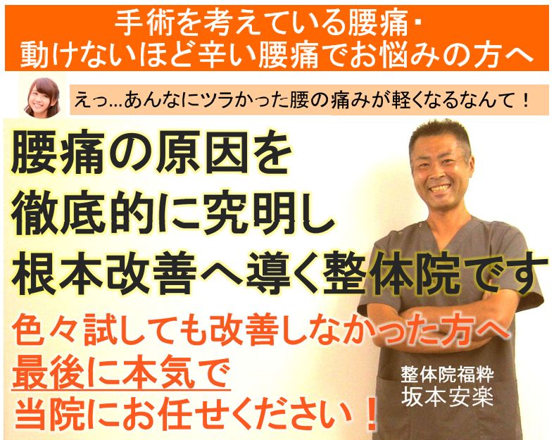 太田市の整体院福粋が腰痛の原因を徹底的に究明し、根本改善へ導きます