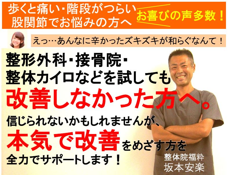 歩くと痛い・階段がつらい。変形性股関節症・股関節の痛みでお悩みの方へ。本気で改善をサポートします！（整体院福粋　群馬県太田市）
