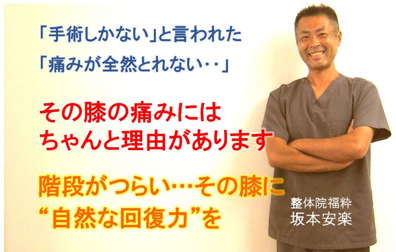 正座が痛くてできない・階段がつらい。変形性膝関節症・膝の痛みでお悩みの方へ。本気で改善をサポートします！（整体院福粋　群馬県太田市）