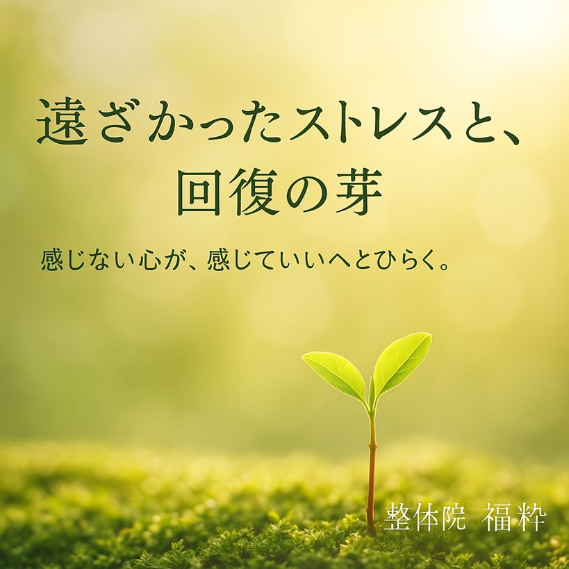 遠ざかったストレスと、回復の芽