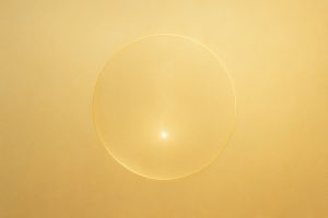 淡い金色の境界 × 白金の価値のコア