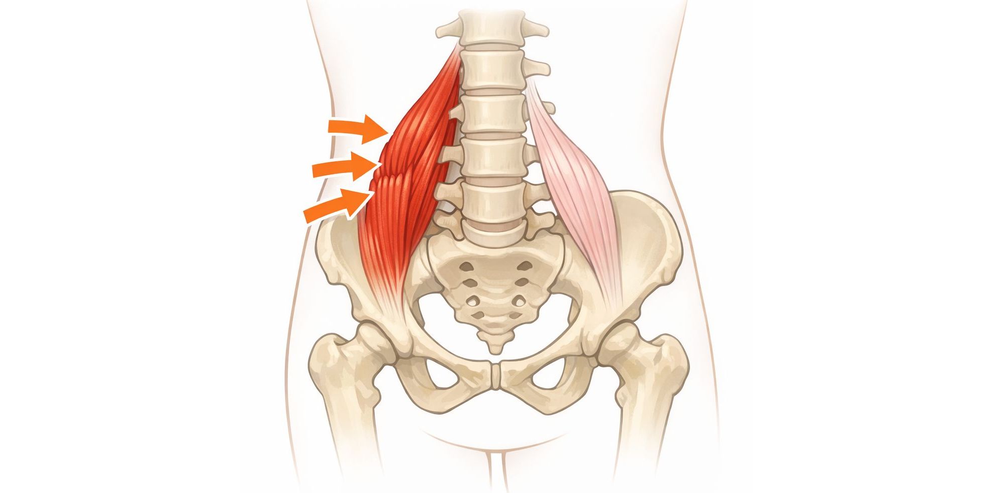 筋肉が硬くなって縮んでいる状態