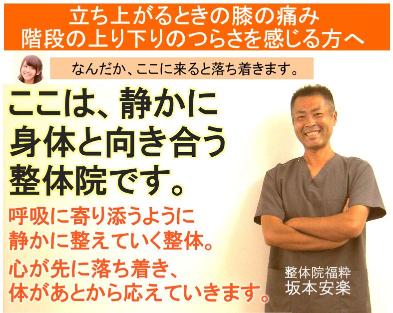 膝の痛みで悩んでいる方へ ❘ 太田市の整体院福粋は、静かに身体と向き合う為の整体院です。
