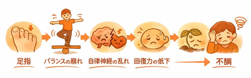 足指の弱さ → 体のバランスの崩れ → 自律神経の負担 → 回復力の低下 → 不調を表す図