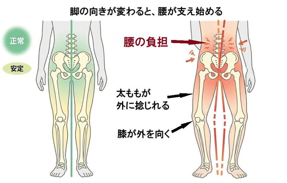 脚の向きが変わると、腰が支え始める