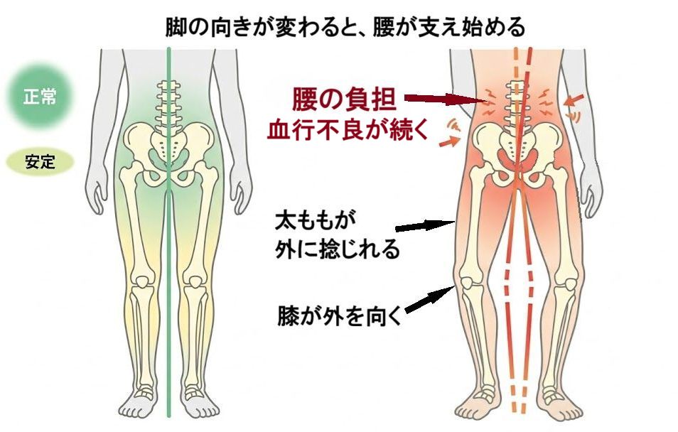 脚の向きが変わると、腰が支え始める