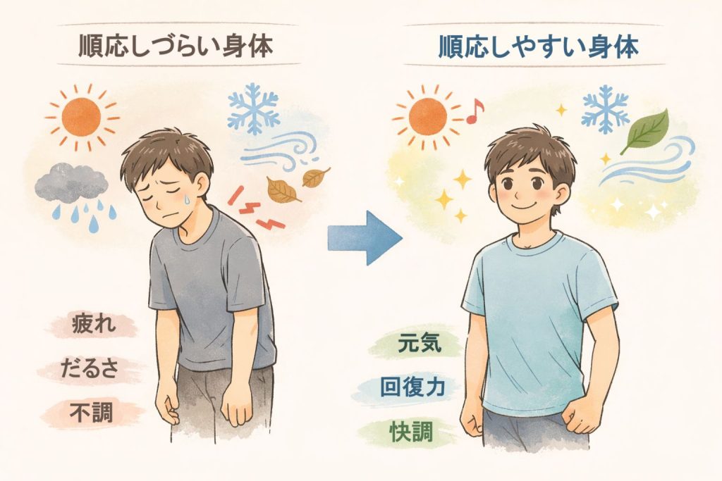 環境の変化に順応しやすい身体としづらい身体の違いの図