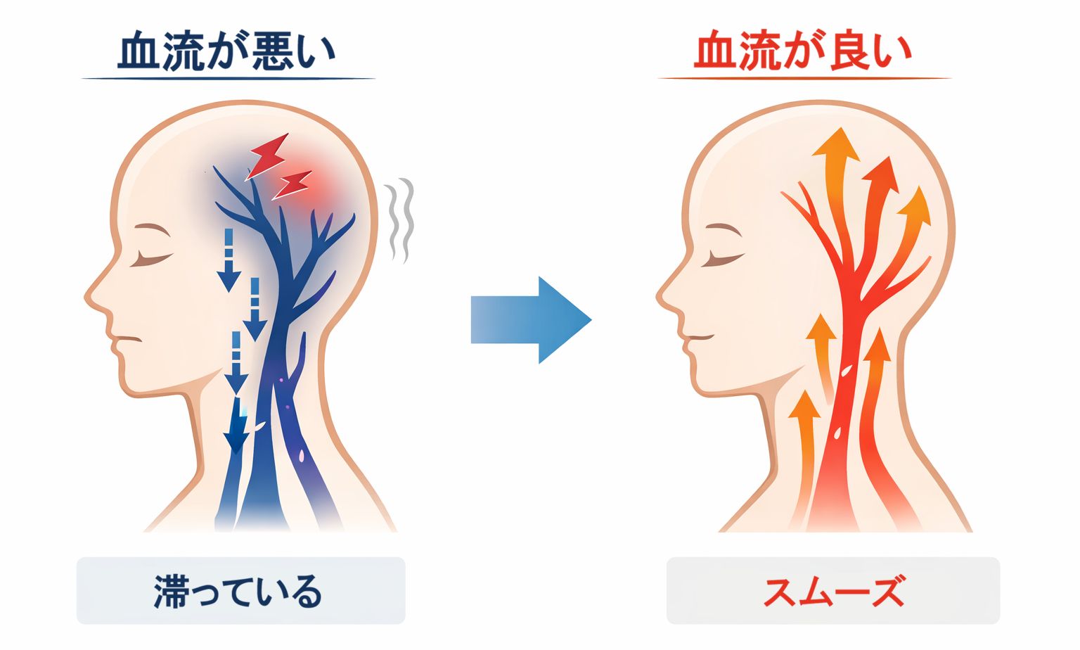 血行の違い