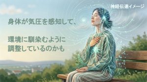 身体が気圧の変化を感じ取っているイメージ